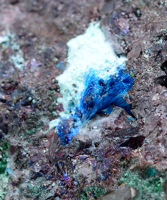 Buttgenbachite - Tenke-Fungurume area, Lualaba, DR Congo