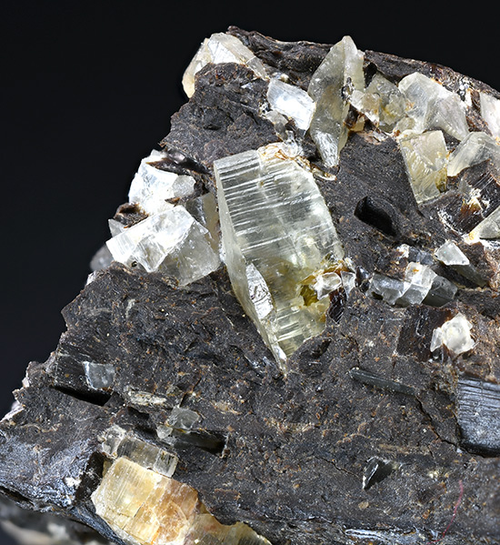 Shortite - Green River Formation, Sweetwater Co., Wyoming, USA (TYPE LOCALITY)