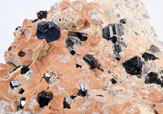 Fluor-Buergerite - Mexquitic, San Luis Potos�, Mexico (TL)