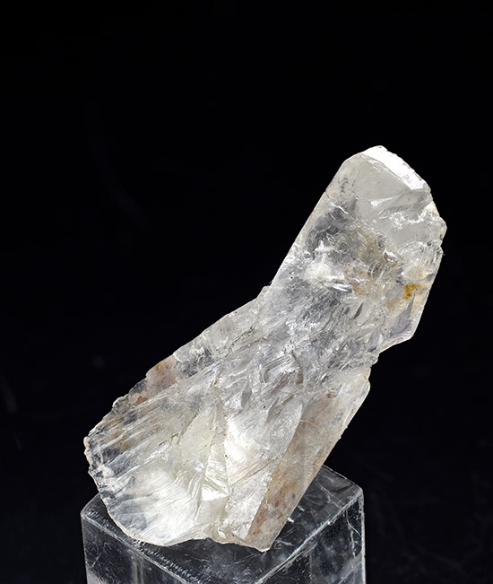 Whewellite - Burgk, Freital, S�chsische Schweiz-Osterzgebirge, Saxony, Germany