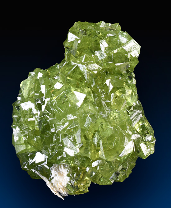 Andradite var. Demantoide - Sferlun, Val Malenco, Sondrio province, Lombardia, Italy