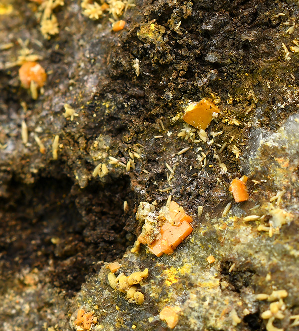 Stolzite - Gelbe Birke Mine, Beierfeld, Gr�nhain-Beierfeld, Erzgebirgskreis, Saxony, Germany