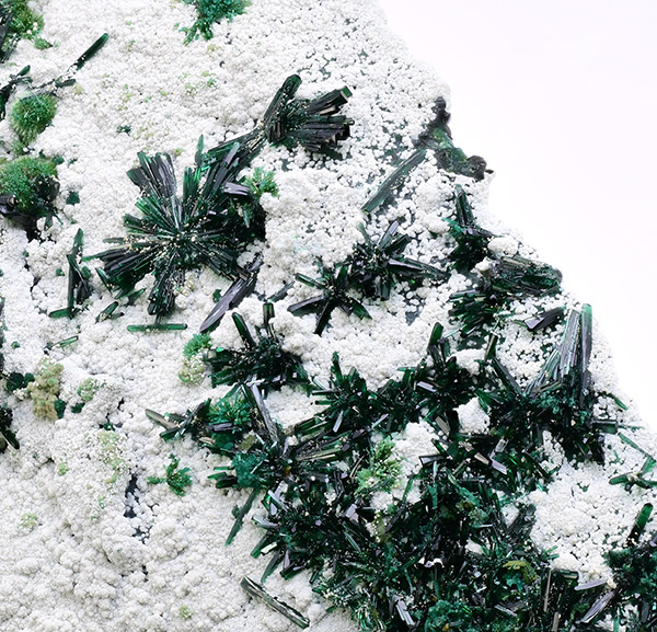 Atacamite - La Farola Mine, Cerro Pintado, Tierra Amarilla, Copiap� Province, Atacama Region, Chile