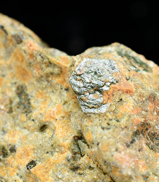 Sudoite - Cedec Valley - Gran Zebr�, Valfurva - Sondrio prov. - Lombardy - Italy