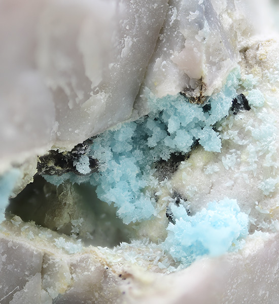 Rruffite - Jote Mine, Pampa Larga district, Tierra Amarilla, Copiap� Province, Atacama Region, Chile