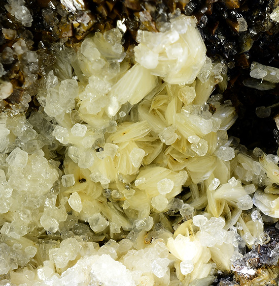 Dickite - Lod�ve - H�rault - Occitanie - France