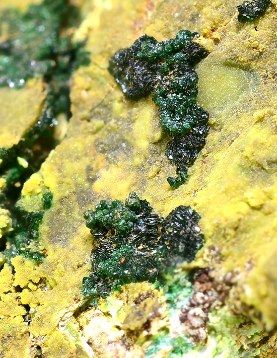 Glaukosphaerite - Widgiemooltha, Coolgardie Shire, Western Australia, Australia