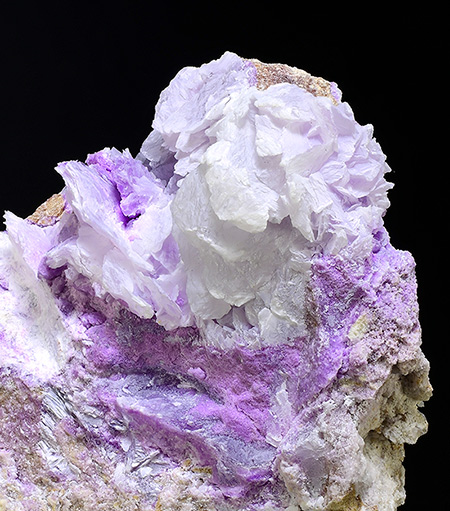 Bentorite with Portlandite - Hatrurim Formation, Negev, Israel (Type Locality)