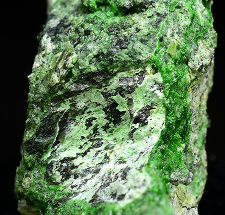 Hellyerite with Zaratite - Lord Brassey Mine, Heazlewood district, Waratah-Wynyard municipality, Tasmania, Australia (TL)