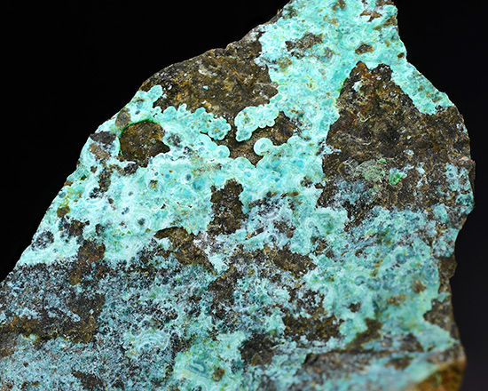 Mcguinnesite with Vuagnatite - Copper King Mine, Red Mountain, Red Mountain District, Mayacmas Mts , Mendocino Co., California, USA (Type Locality)