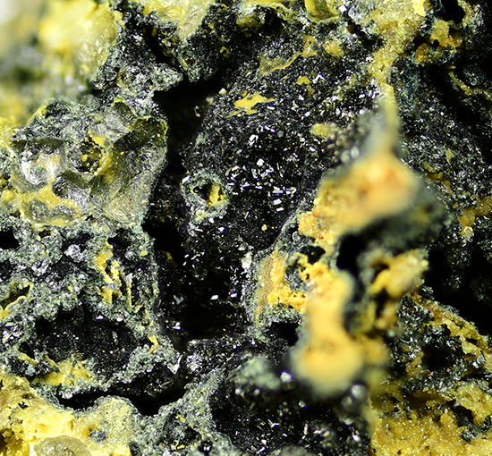 Plimerite - Block 14 opencut, Broken Hill, Broken Hill district, Yancowinna Co., New South Wales, Australia (TL)