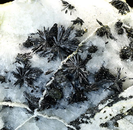 Ludwigite - Zebr� Valley, Valfurva, Sondrio Province, Lombardy, Italy