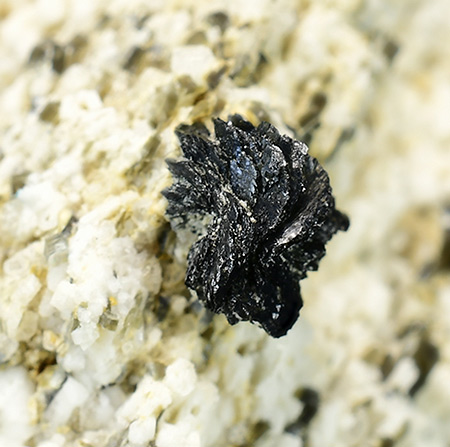 Cervandonite-(Ce) - Mount Cervandone, Baceno, Devero Alp, Ossola Valley, Verbano-Cusio-Ossola Province, Piedmont, Italy (Type Locality)