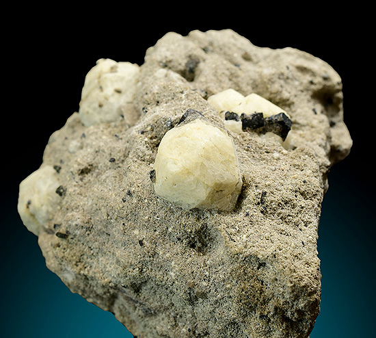 Leucite - Roccamonfina, Roccamonfina Volcanic Complex, Caserta, Campania, Italy