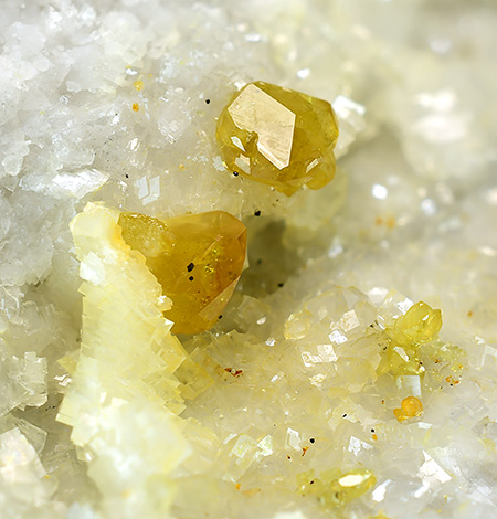 Monazite-(Ce) - Trimouns Talc Mine, Luzenac, Ari�ge, Midi-Pyr�n�es, France