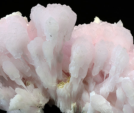 Kutnohorite with Manganoan Calcite, N'Chwaning III mine, KMF, North Cape Province, South Africa