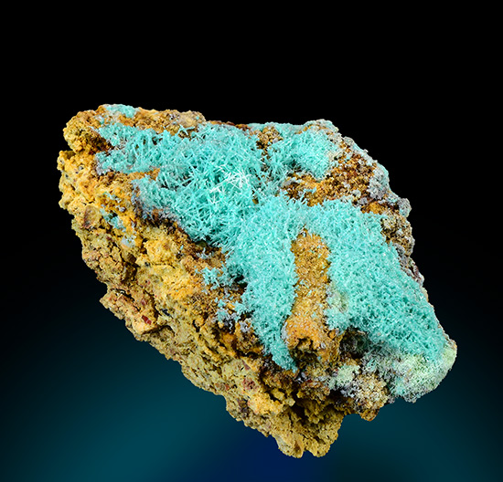 Devilline - Devilline - Kaum, Sauerland, Germany