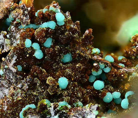Marioantofillite -  Monte Copello-Reppia mine, Reppia, Ne, Genoa, Liguria, Italy (TL)