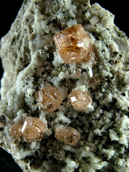 BALD0759_gro_g.jpg