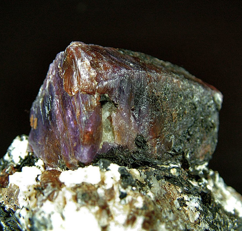 BALD0782_cor_g.jpg