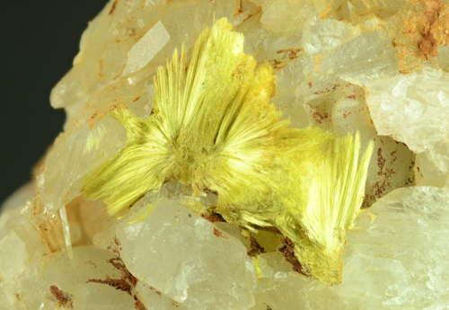 FERR1570_ferrimolibdite_1.jpg